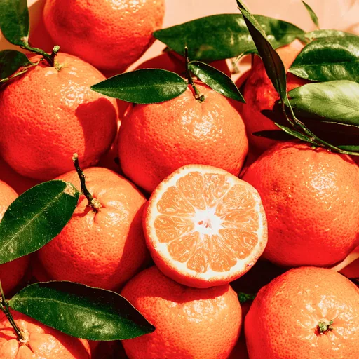 CALIFORNIA CLEMENTINE