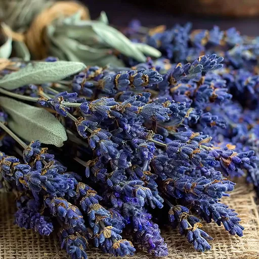 White Sage and Lavender