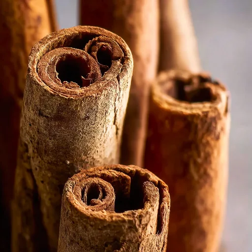Cinnamon Stick