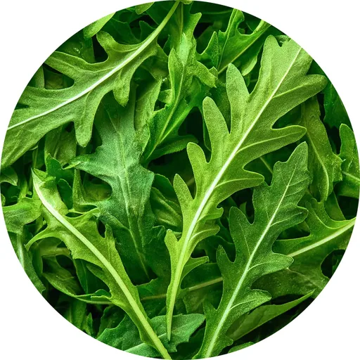Arugula Element