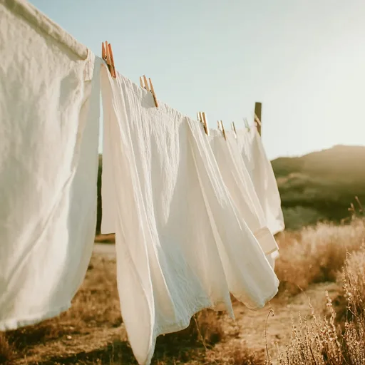 SUN-DRIED LINEN