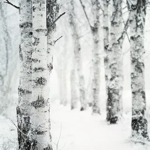 Woodland Snow