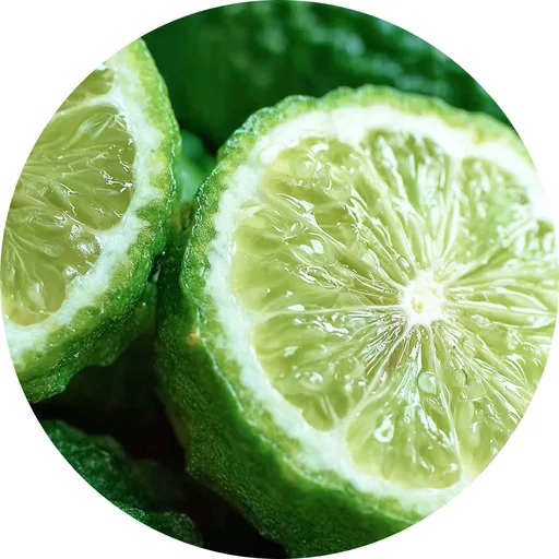 Bergamot Element