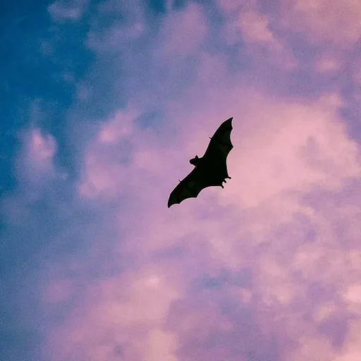 Bat Sh*t Cray Cray