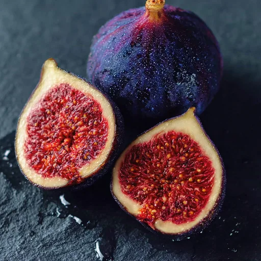 Fig
