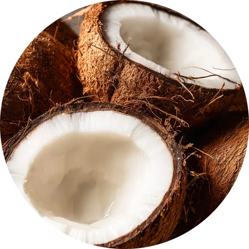 Coconut Element