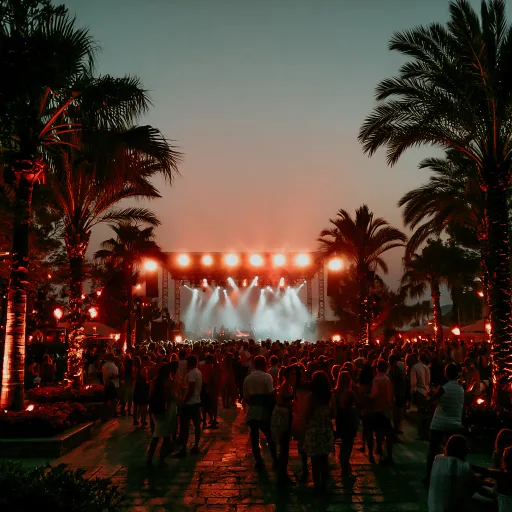 Ibiza Nights